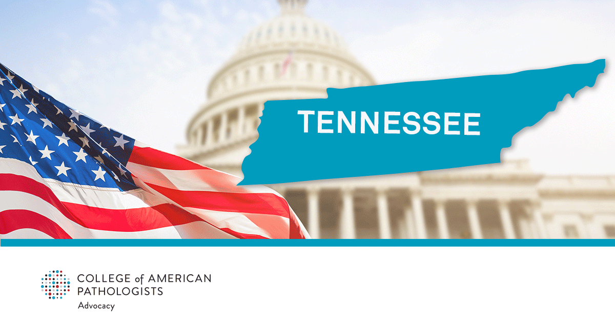State Advocacy Win! Tennessee Governor @GovBillLee signs #testresults bill safeguarding #pathologists from legal risks. The Tennessee Society of Pathology, the CAP, and the @tnmed successfully amended the bill to address concerns. brnw.ch/21wJTwP