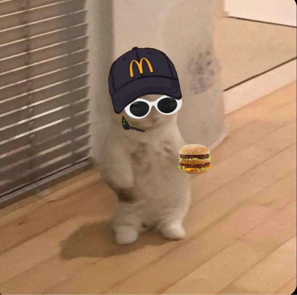 <a href="/BEASTMODEAPEE/">BEAST MODE !</a> And retardio cat buyers like #Michee … we gotta have a retardio cat in crypto 

Retarded Michi
Retards ASSEMBLE

TG: t.me/Michee_Portal

Website: michee.me
