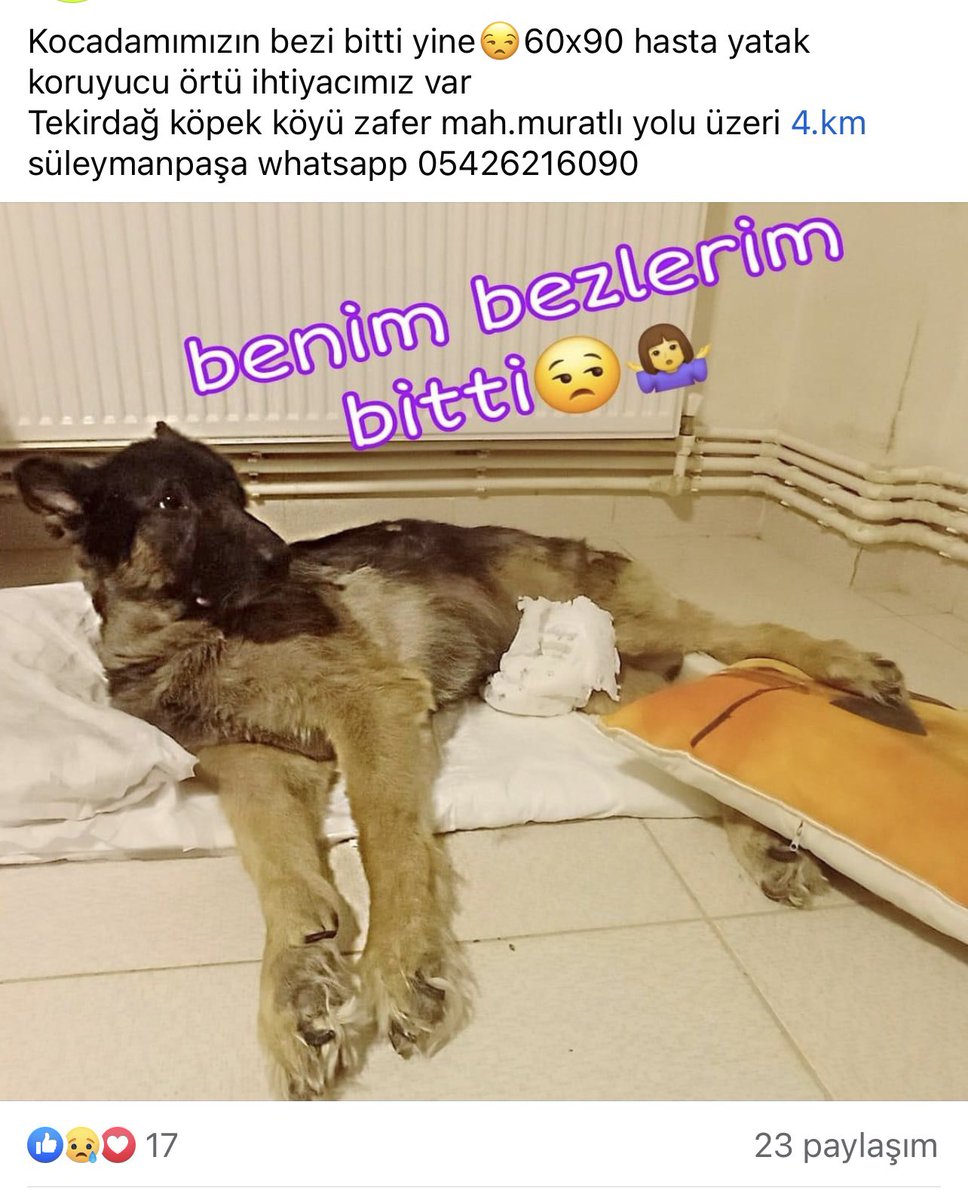 Felçli evlatlarımızın bezi bitti acep gönderen meleklerimiz olur mu ?