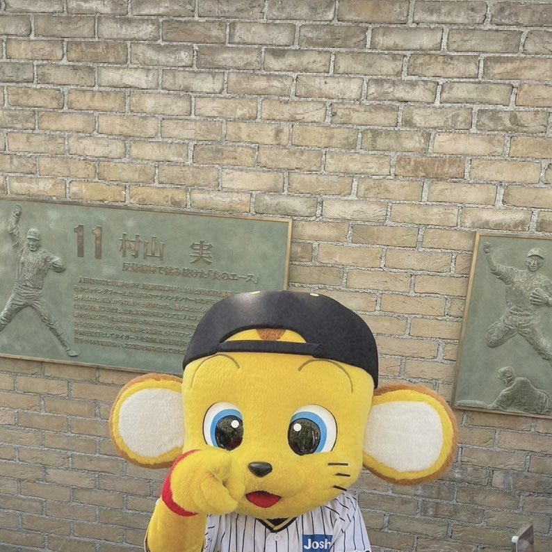 c_t_llo's tweet photo. TORACO DAY 🐯🎀 https://t.co/ESZeraycUc