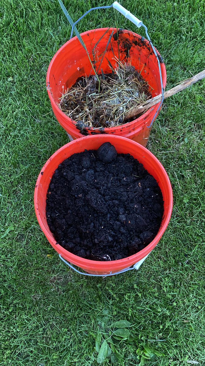 How do you keep your soil nice and fresh?

Compost and 🐰 💩 

🪱 castings for individual plantings as well ☺️

The worms ate last years garden waste
and Amazon boxes.

Everything we have is interconnected ❤️