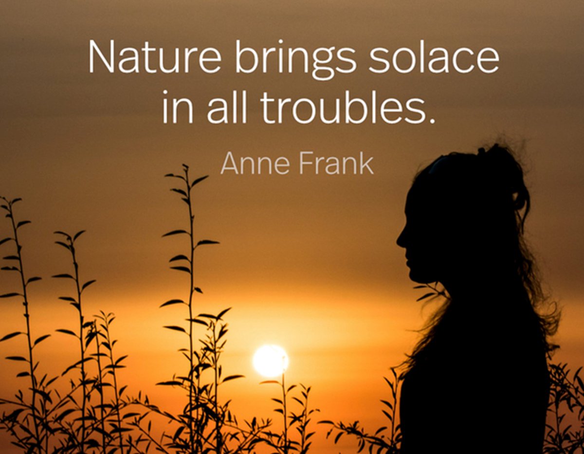 Spending time outdoors can help clear your mind and bring a sense of peace.
<RT?  :)>
aSuggestion.com
#employeeengagement #humanresources #HR #work #employees #employers #wellnessandcare #mentalhealth #behavioralhealth #disabilities #autism #IDD #aSuggestion #LifeImproved