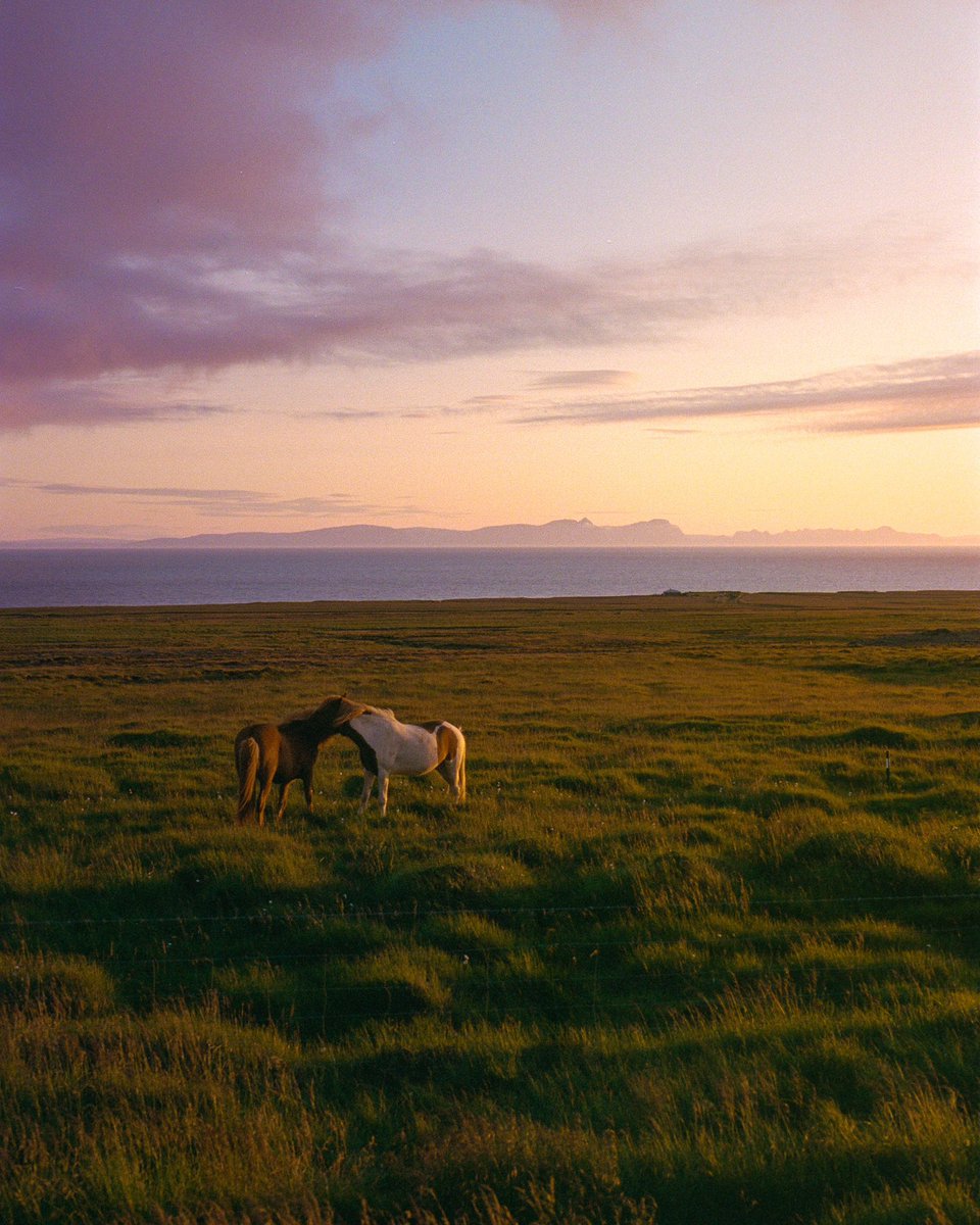 eamonsphotoss's tweet image. Iceland on 35mm film