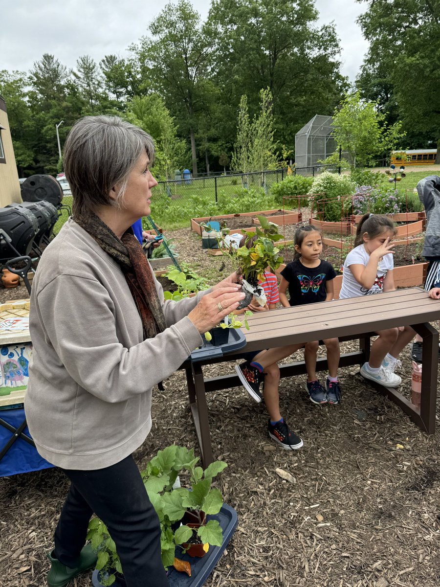 LAES_Sra. Bachelet tweet media