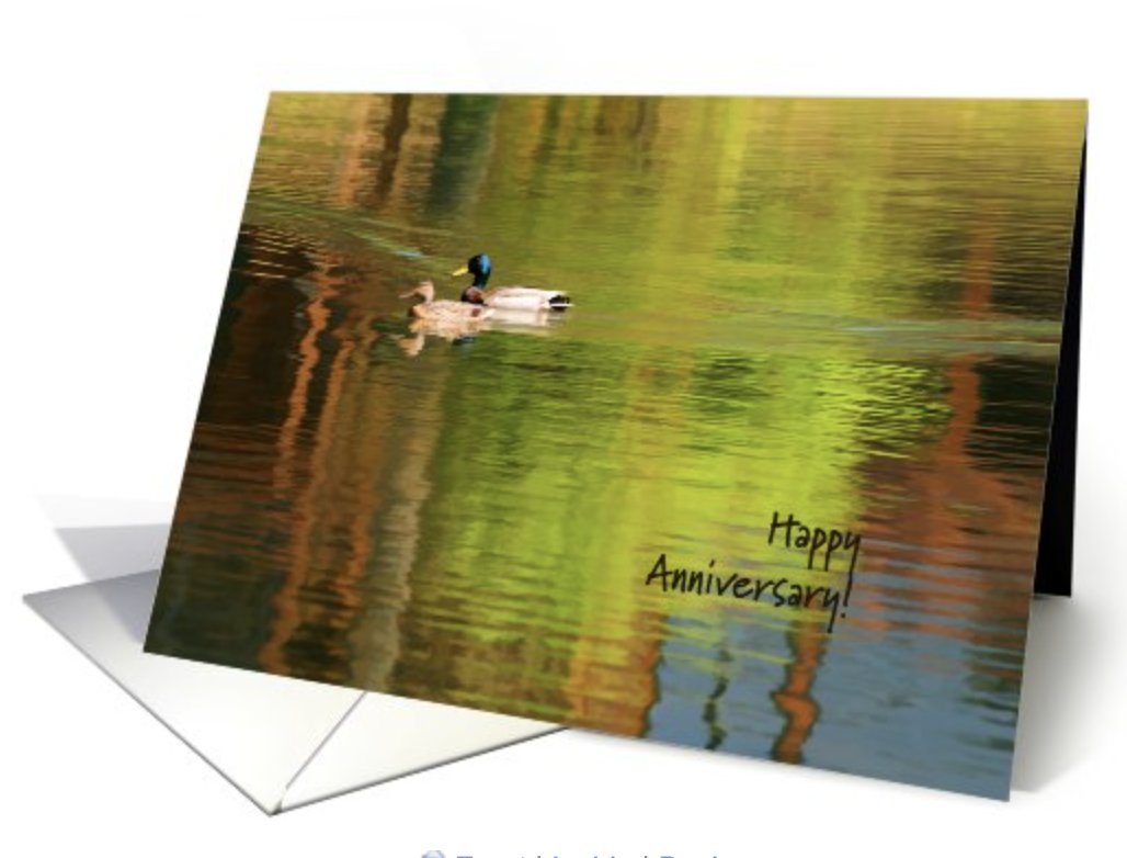 Thanks to my 5/14 #GreetingCardUniverse client for their purchase of 'Mallard Pair - Happy Anniversary.'  Honored that you chose it for such a special occasion!!
greetingcarduniverse.com/anniversary-we…

#art #photography #wildlife #mallard #ducks #anniversary #greetingcards #LoisBryan #NotAi