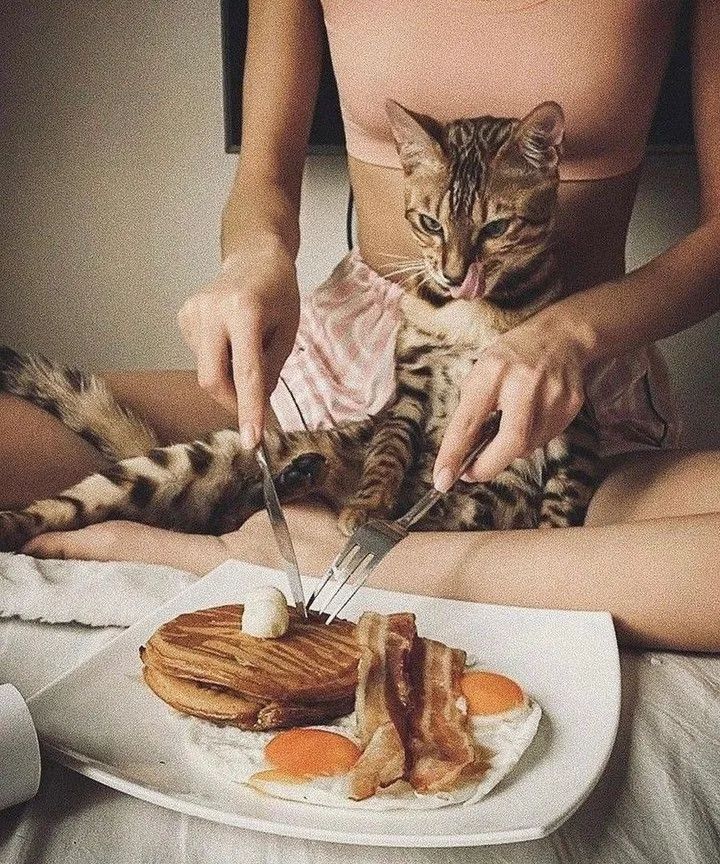 Breakfast in Bed 🐾 🍳