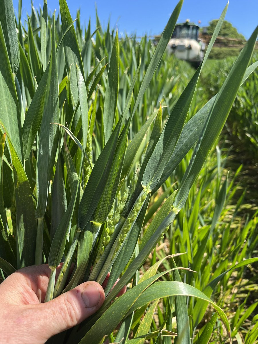 Pete Olds tweet media