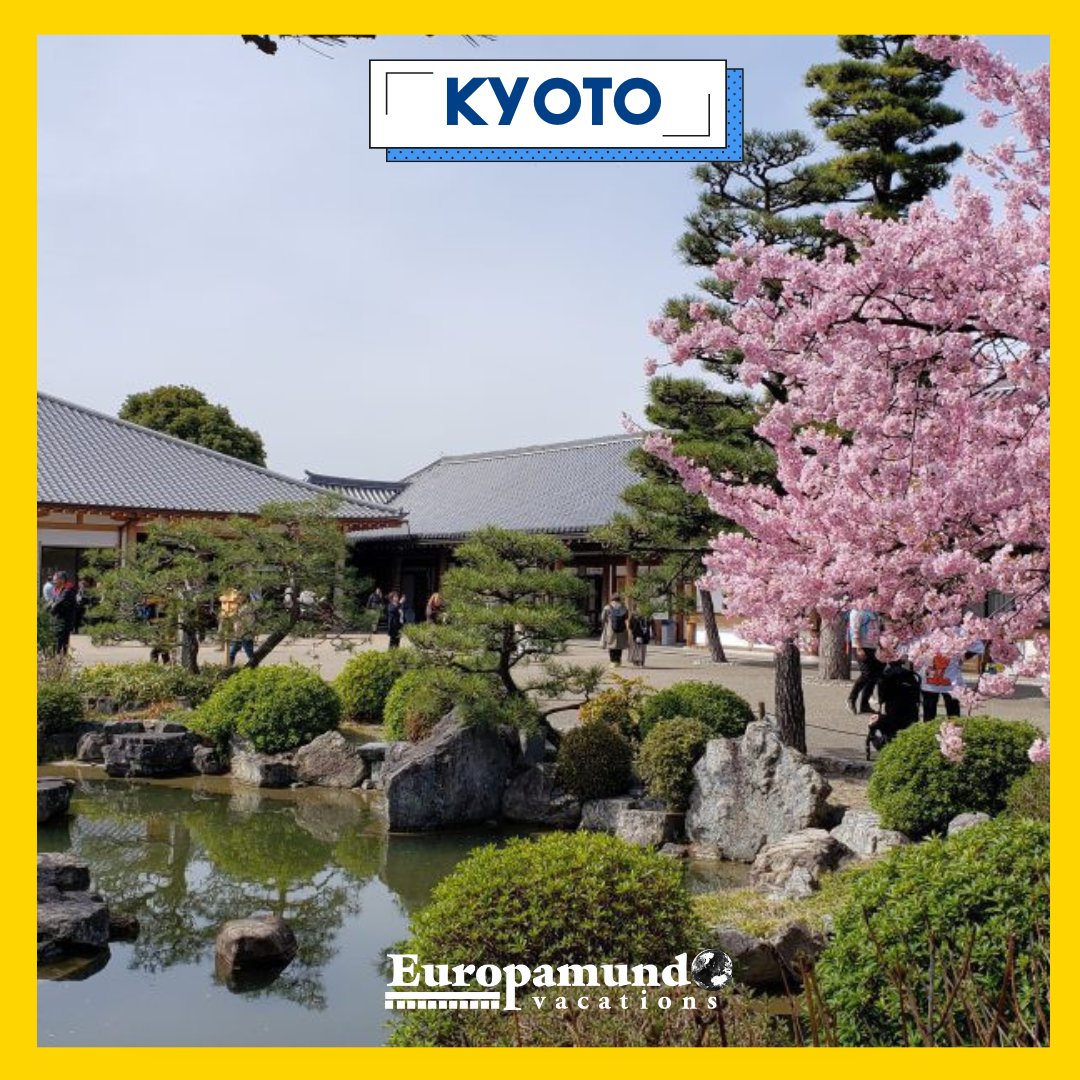 Immerse Yourself in the Serenity of KYOTO with Europamundo! 🏯🌸 Step into a world of ancient temples, traditional tea houses, and stunning cherry blossoms. 🇯🇵✨ #EuropamundoTours #Kyoto #JapaneseHeritage