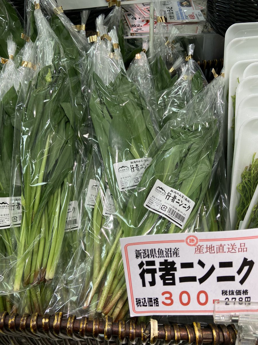 新潟県魚沼産 行者ニンニク 入荷です。 食べ方も ご覧になってください。