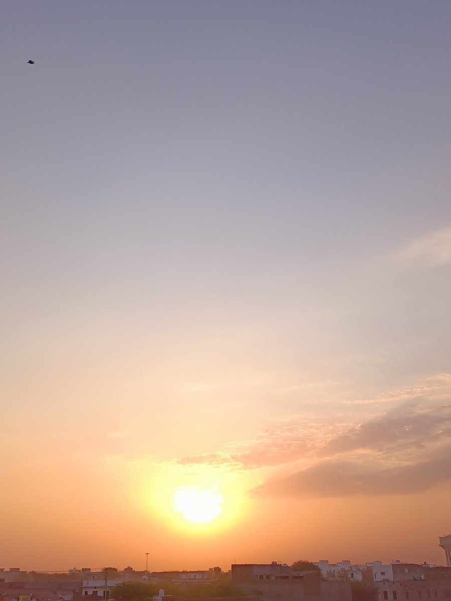 AdvUshasiyag18's tweet image. #morningview 🤗