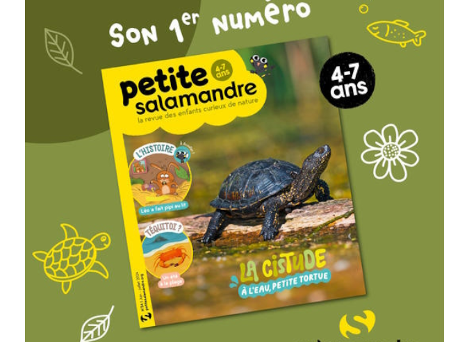 La Petite Salamandre : le magazine qui éveille les petits à la nature dlvr.it/T72tsM