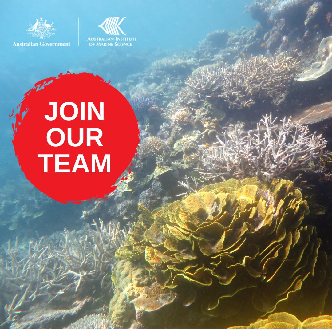 Join the team ⬇️ 🔬 Senior Ecologist, Conservation Scientist 🔬 Research Scientist-Evolutionary Modeller 🔬 Senior Research Scientist-Aquaculture Geneticist 🔬 @SeaSim_AIMS Research Technician 📍Townsville 📆Close early June Apply now ➡️ bit.ly/AIMS_jobs #JobAlert
