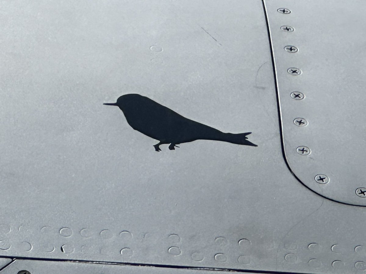 横田基地フレンドシップフェスティバル2024

 F-16のスコアマークに紛れて鳥のキルマークあるwww