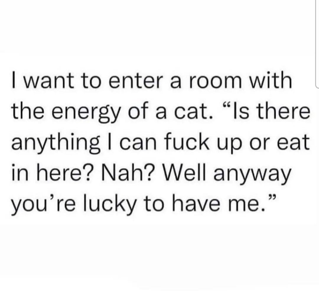 Busty Bee (@beesummerz) on Twitter photo 