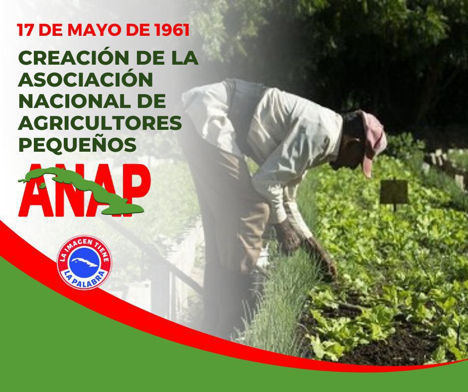 @AngelicaPupo2 @ICuba15 @AdrinReyes58899 @AaccTatu @AAlex29974 @arlethy521 @azulinfinit0 @CaimanGuerrero1 @DeZurdaTeam_ @MariaDiazPerer1 #DíaDelCampesino🇨🇺