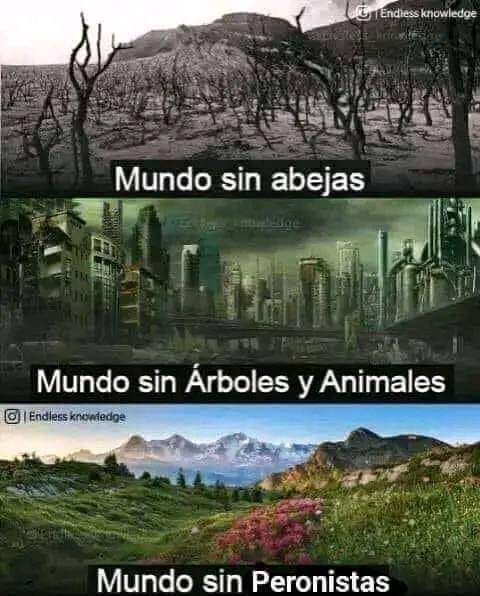 ArielDenegri77's tweet photo. @diegobranca https://t.co/qz1RXQkExx