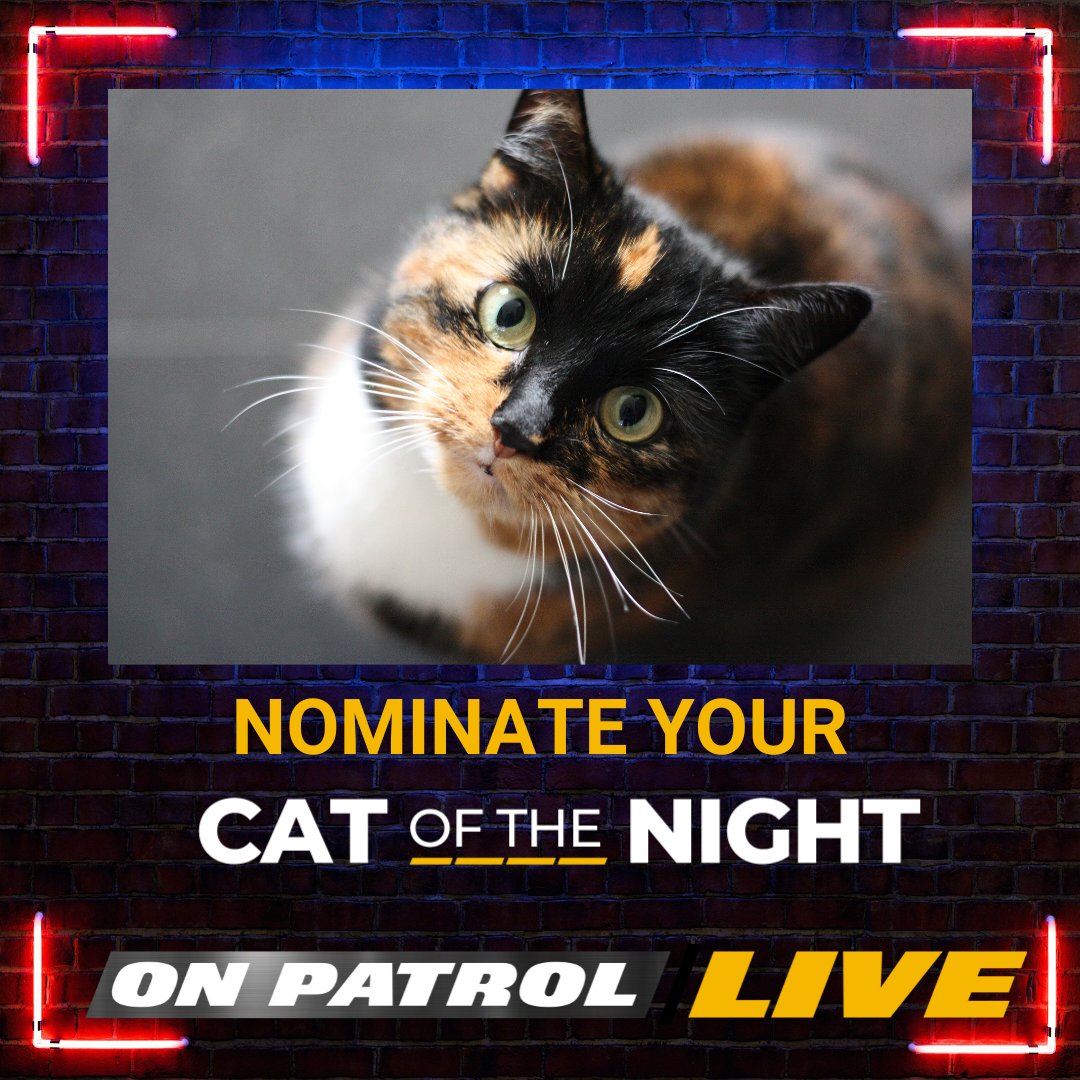 #OPNation, nominate your candidate for #OPLive #CatoftheNight below! Leave us a photo and their name in the comments.

#OPWeekend #REELZ