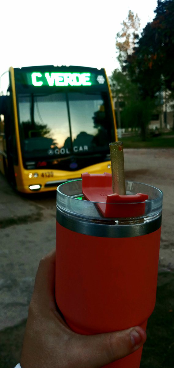 🚌🚌