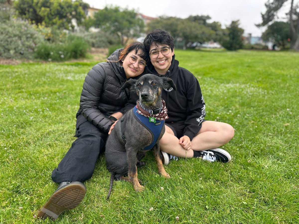 Jazmyn & Island wanted a Mexican hairless, and we happened to have a senior #Xoloitzcuintle! Archibald has moved on in with them - home is now East Palo Alto. 🎉 #Goodtimes ahead for this sweet boy found as a stray in #Oakland.