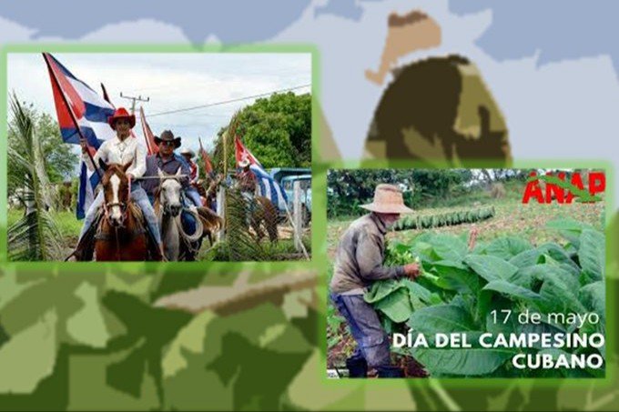 Hoy se cumplen 65 años de la Ley de Reforma Agraria. Era el mejor homenaje al mártir Niceto Pérez. Por su simbolismo un 17 de Mayo se fundaría luego la #AnapCuba. ¡Felicidades a toda esa #GenteQueSuma! #AgroalimPorCuba 🇨🇺