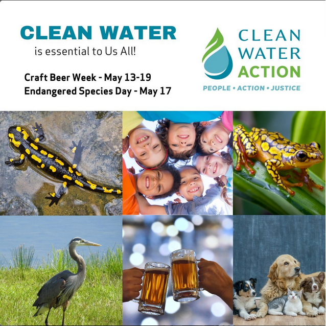 It's #EndangeredSpeciesDay 🦎 and National #CraftBeerWeek 🍺. Here’s what beer (good beer!) and protecting endangered species have in common: Clean water is essential for both! 💧💙 Support our work to #ProtectCleanWater at cleanwater.org/donate