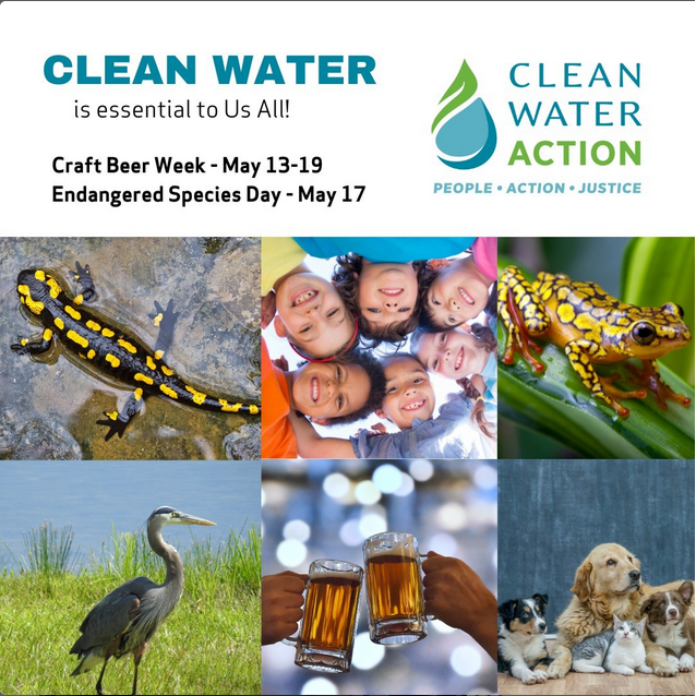 0xA3therV3's tweet photo. It's #EndangeredSpeciesDay 🦎 and National #CraftBeerWeek 🍺. 

Here’s what beer (good beer!) and protecting endangered species have in common: Clean water is essential for both! 💧💙 

Support our work to #ProtectCleanWater at https://t.co/LlLUGymahZ https://t.co/nVbrg6BwWR