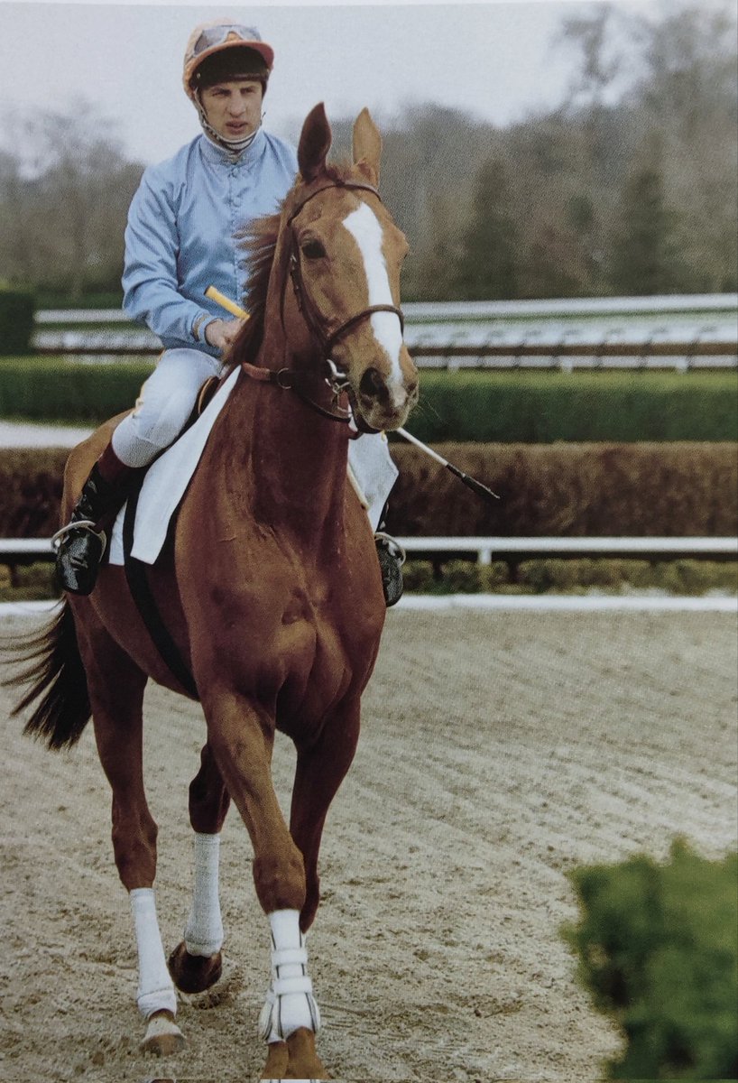 UN PHÉNOMÈNE... par Carmarthen et Kotkie Comte Pierre de MONTESSON / Bernard SECLY Jean-Yves BEAURAIN 🥇 Prix Ferdinand Dufaure 1987 🥇 Grand Steeple-Chase de Paris 1988 - 89 - 90 Palmarès non exhaustif évidemment...