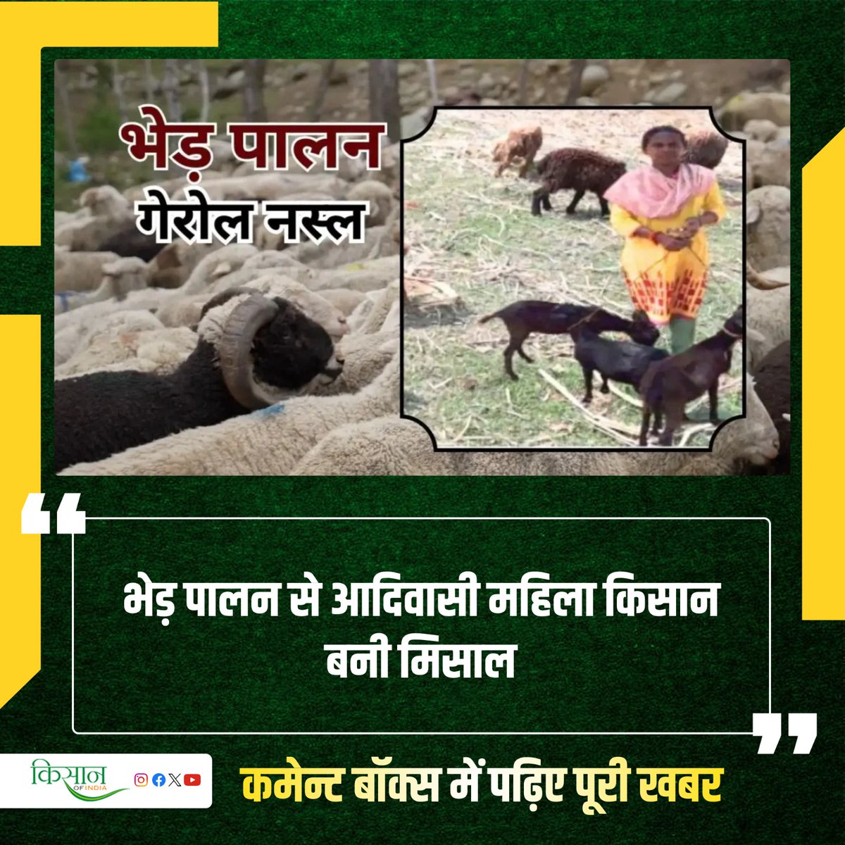 गरीब किसानों के लिए भेड़ बकरी आजीविका का मुख्य साधन है। जानिए भेड़ पालन की वैज्ञानिक तकनीक अपनाकर आरती ने कैसे सुधारी अपनी आर्थिक स्थिति? #GoatFarming #KisanOfIndia #Animalhusbandry #TribalWoman #SheepFarming
