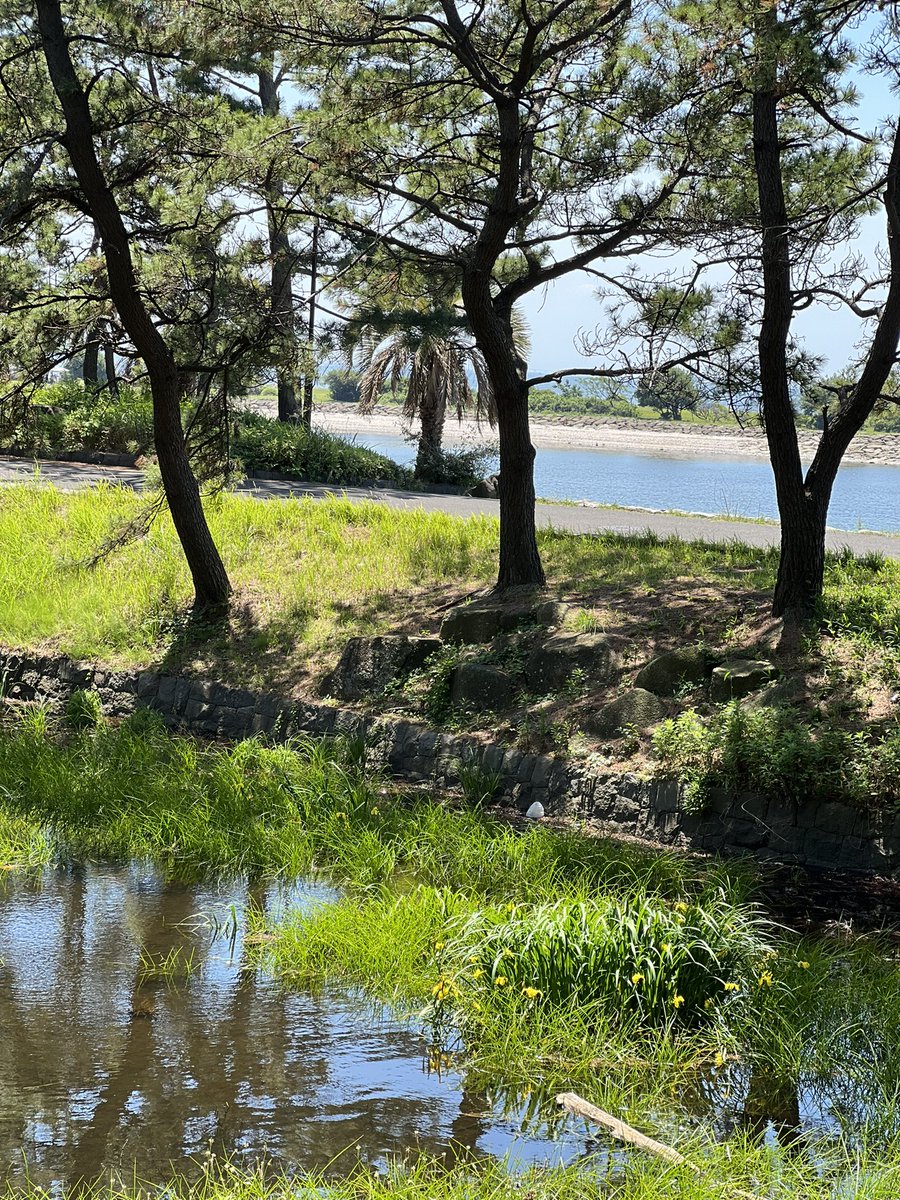 ちょっと遠くの公園の風景です。