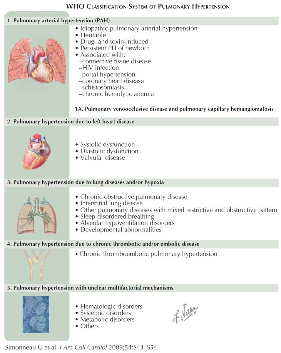 WHO Classification System of Pulmonary Hypertension

#medtwitter #foamed #usmle