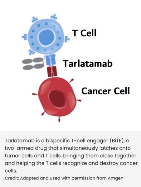 US FDA granted accelerated approval to tarlatamab-dlle - @VivekSubbiah 
@FDAOncology 
oncodaily.com/67317.html

#Cancer #SCLC #FDAApproval #Imdelltra #OncoDaily #Oncology #SCLC #Tarlatamab