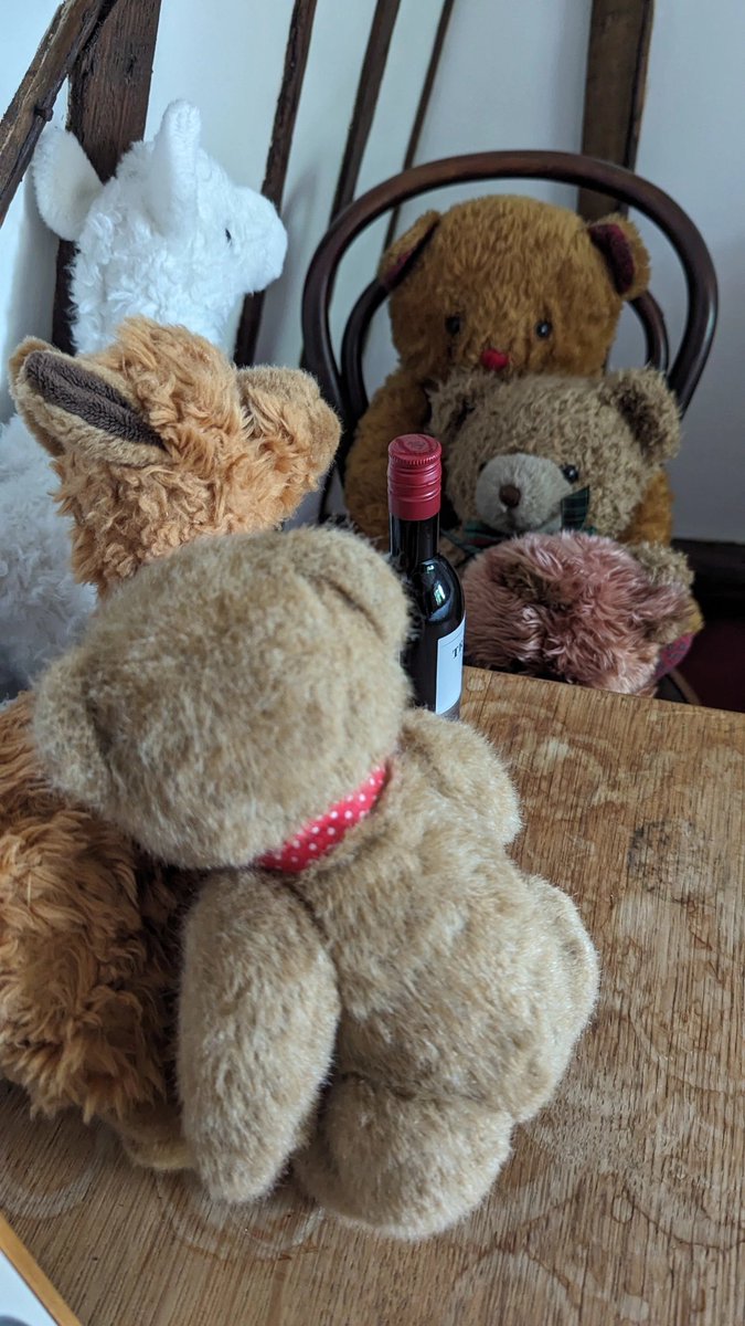 Always leave your teddies a little treat when you jet off for a few days to the Balkans.