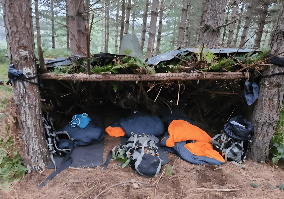 🍃 Home sweet home... wilderness style! Our survival experts have set up camp and are ready to teach you the ins and outs of forest living. Are you up for the challenge? #SurvivalSkills #BearGrylls #OutdoorAdventure