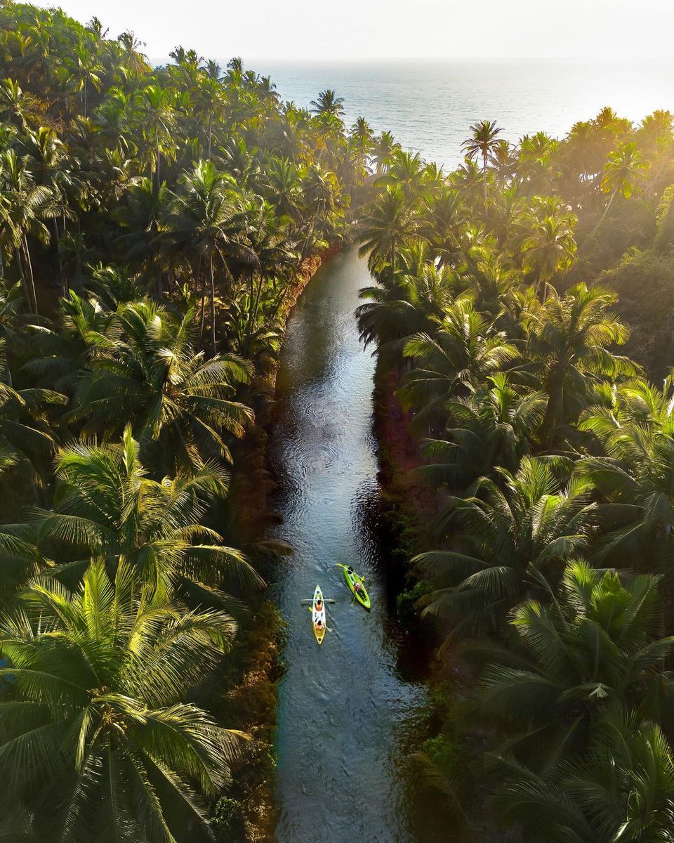 Drifting through the dreamy forests of Goa.

#Repost from Jalpa Trivedi Shah | Instagram 📸

Want to #share your greatest moments ever lived? Upload your photos, tag us and use #ngtindia on Instagram.

#NatGeoTravellerIndia #NGTI #India #Goa #Forest #River #Boating