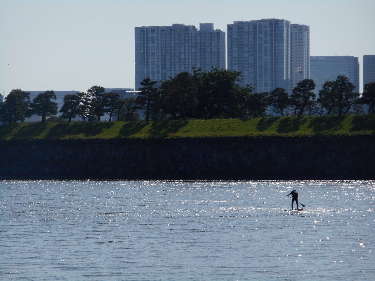 @DailyPicTheme2 Paddle boarder in late afternoon #DailyPictureTheme #Gleaming #Odaiba