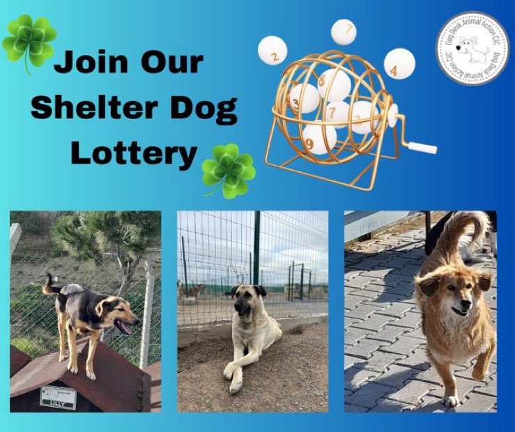 🔥 @DogDeskAction need new lottery members 🔥 Join via the blue link 👇 onelottery.co.uk/support/dog-de… It's a lot of fun with a cash prize of £25,000 up for grabs #dogsoftwitter #dogsofx #dogs £1 a week