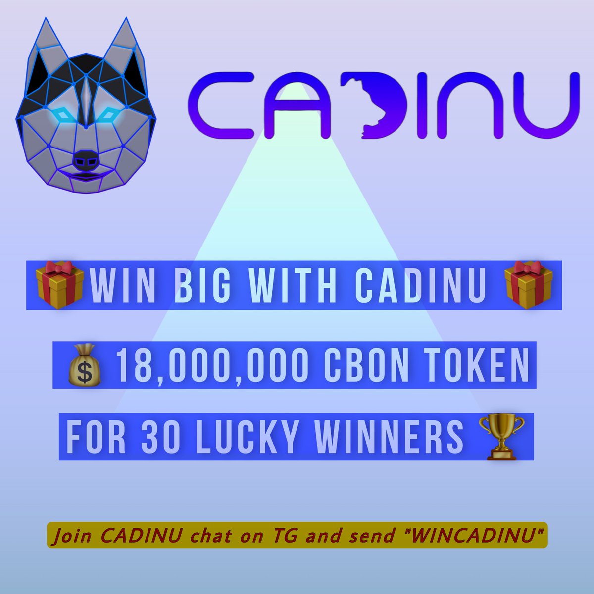 CADINU Official tweet media