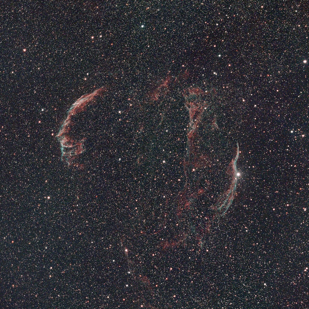 庭撮りその２　夏に向けてのリハビリ。でも蚊に刺されるの。
網状星雲 NGC6992-5,NGC6960 はくちょう座
撮影場所：埼玉県杉戸町
撮影日時：2024/05/18 00:58~03:21
鏡筒：Askar FMA135
焦点距離：135mm F4.5
ｶﾒﾗ：ZWO ASI533MC Pro
ﾌｨﾙﾀ：：IDAS GNB
赤道儀：Vixen SXP