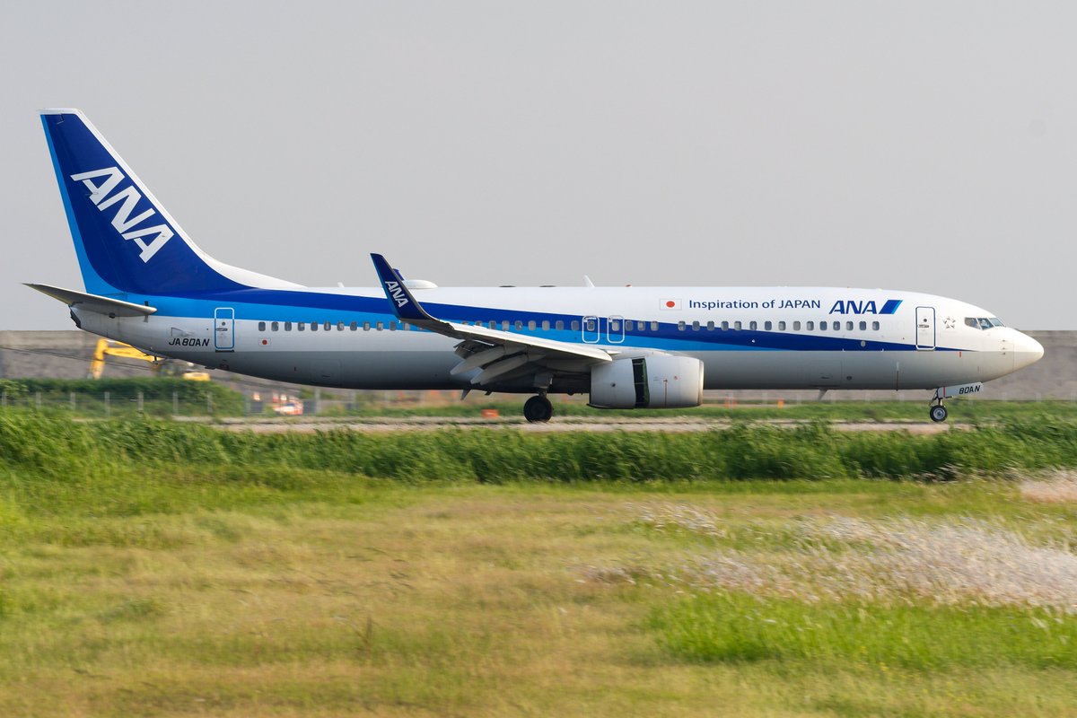 JA80AN
B737-881 (B738)
All Nippon Airways (NH/ANA)
Saga Airport (RJFS/HSG)

ーーーーー
本来なら背景には雲仙が入るはずですが、この日は霞空により真っ白に。
北側から狙って光が回るのは、日の長い今の時期だけです。