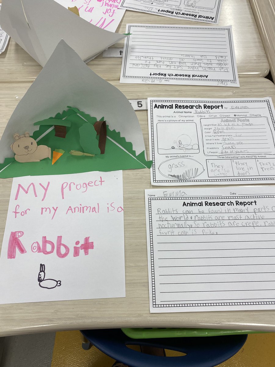 chalkandgrace's tweet image. We finished up our two week unit on animals. We researched our own animals using @epic4kids @CapstonePub and #Kiddle🤓 We wrote an informational paper on our animal and created a triarama to showcase their habitats. #HaskinsCadets🚀