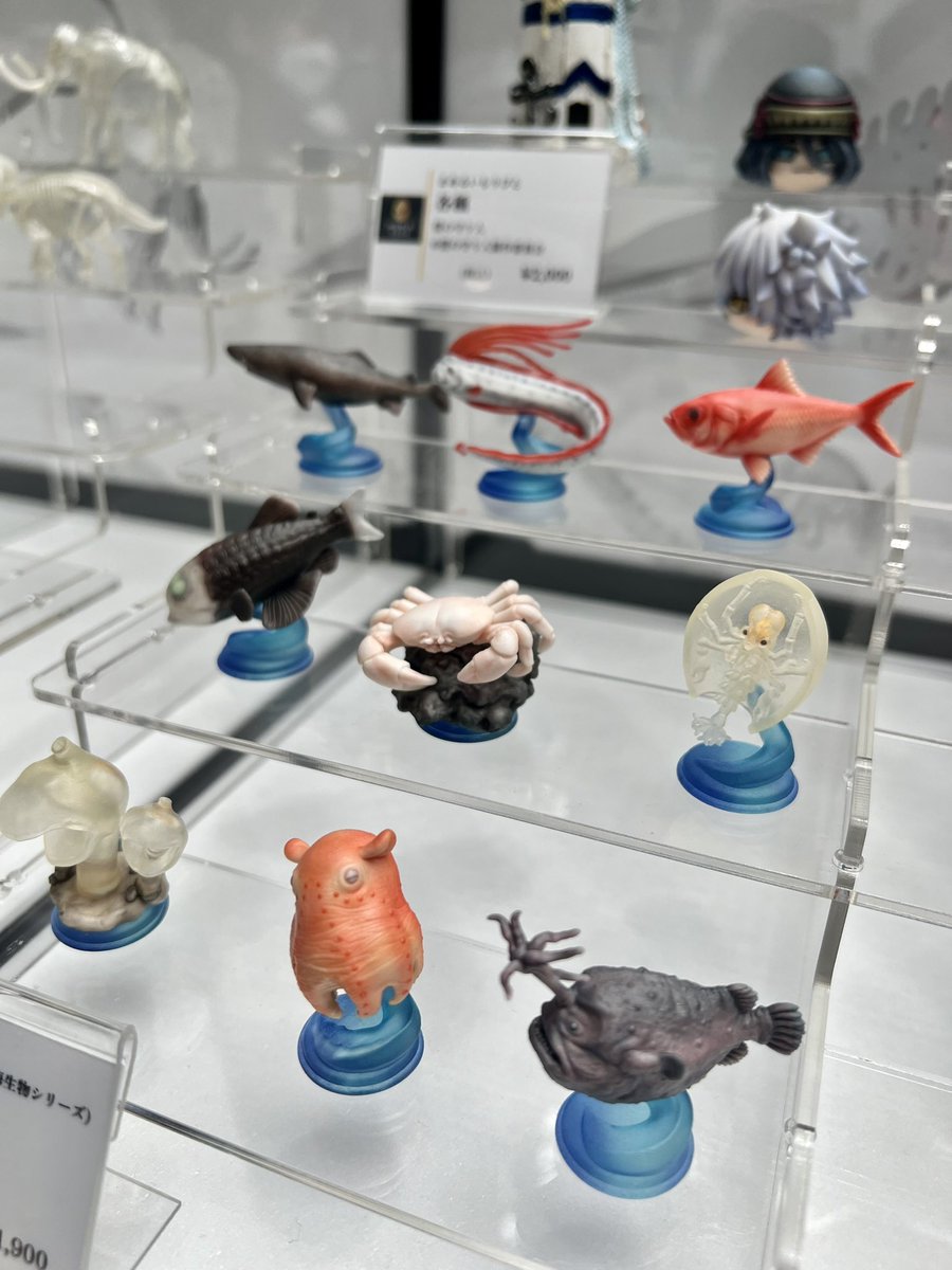 bluehunter_PR's tweet photo. ＼\ #デザインフェスタ59 絶賛展示中‼️/／

来場が難しい方に、会場の様子をお届け✨

🗓️ 5/18(土)･19(日)  10:00 ~18:00
📍 東京ビッグサイト 西ホール／D-61
🔗https://t.co/7lhrus2mQY @designfesta

『深海生物シリーズ』全9種
　価格：各1900円

🐙メンダコ
🪘オオタルマワシ
👀デメニギス
🦀ユノハナガニ
🐟キンメダイ
👻オオグチボヤ
🦈ニシオンデンザメ
🎆チョウチンアンコウ
🐉リュウグウノツカイ

#ブルーハンター
#デザフェス #デザインフェスタ 
#デザフェス59 #デザフェス59お品書き