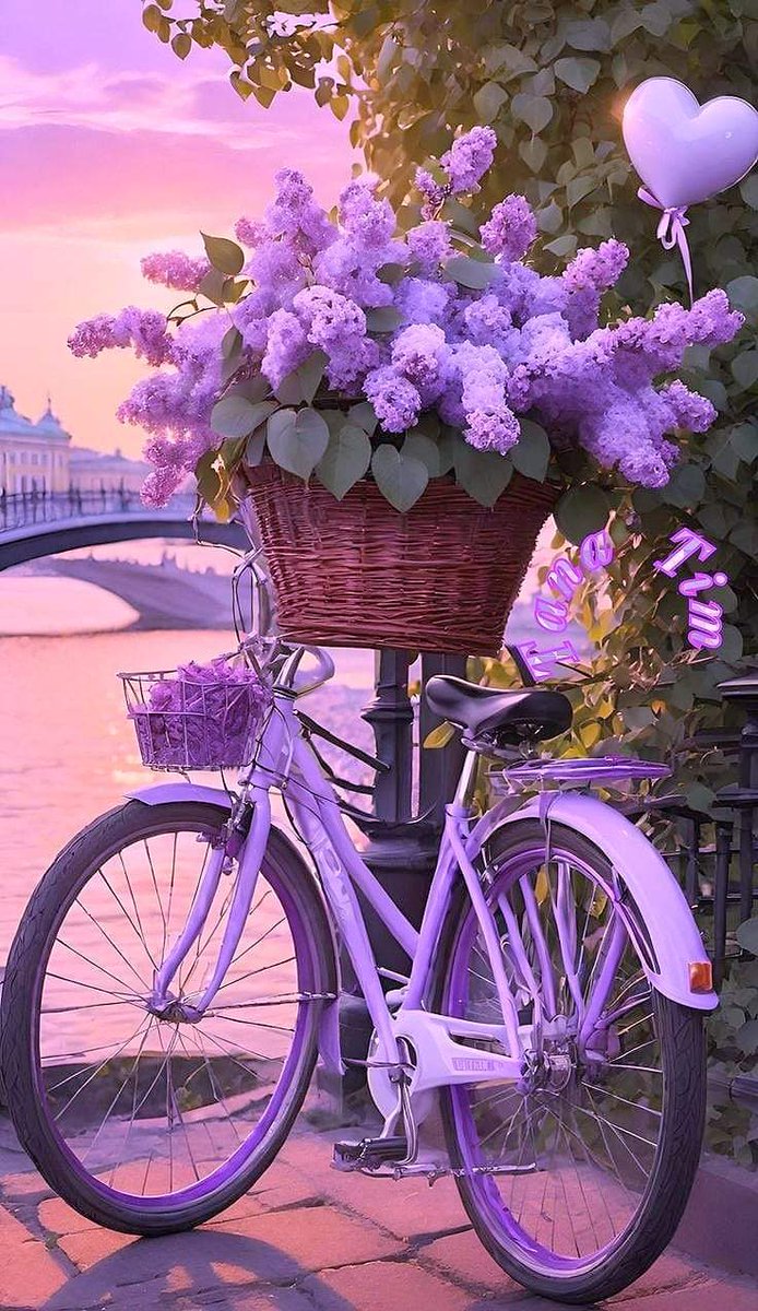 Good Saturday morning🌹☕ Have a pleasant weekend my df....💜🌹💜🌹💜🌹....