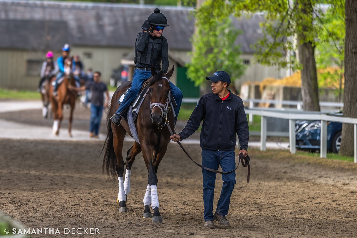 Champion two-year-old male Fierceness heading out to the Oklahoma Track in Saratoga. The Todd Pletcher trainee is being pointed towards the @BelmontStakes.