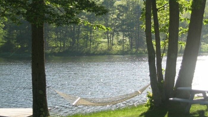 ᅠ ᅠ (@greendreaams) on Twitter photo 