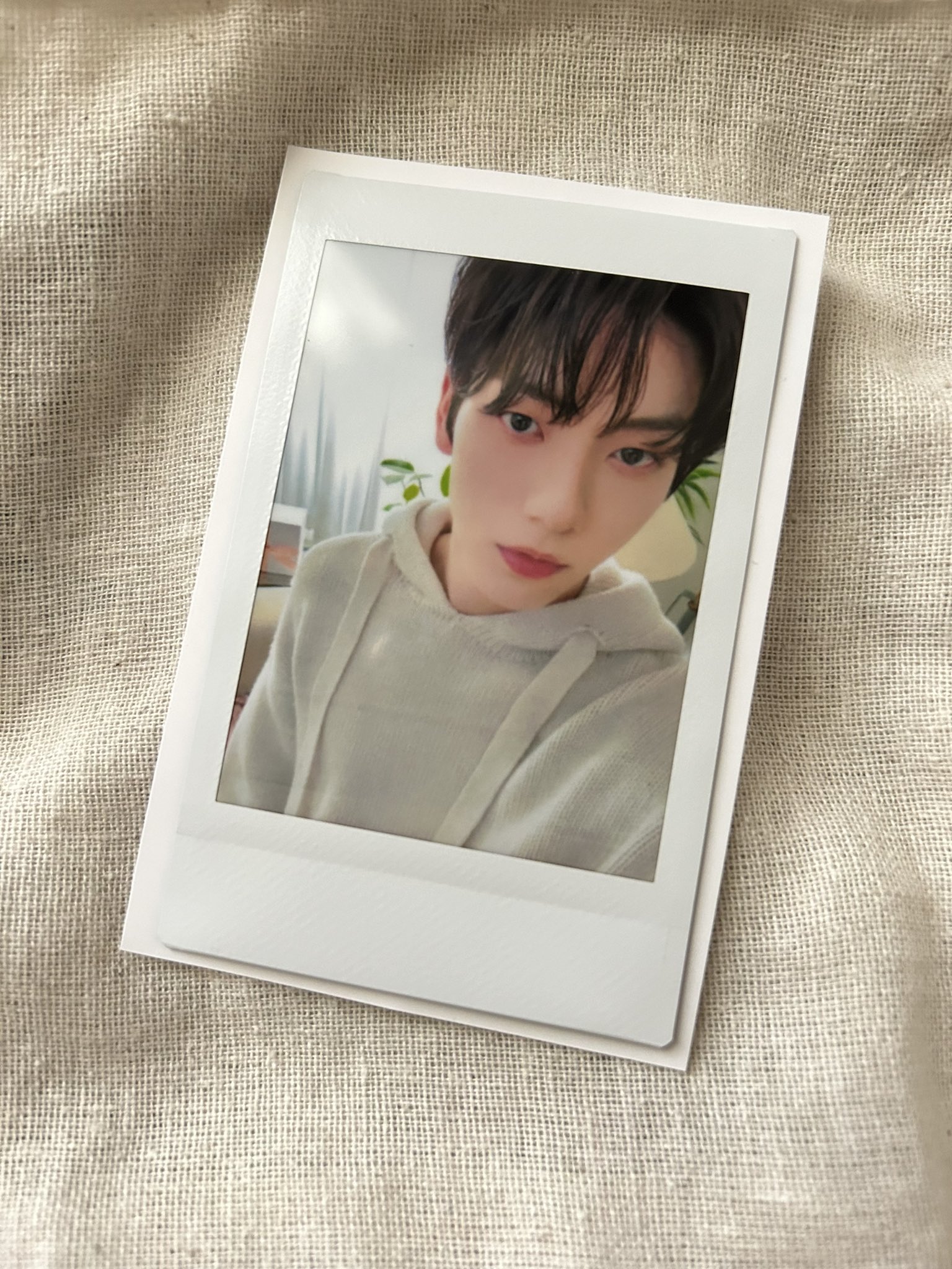 ④甘い暴力 咲さんチェキ 甘い暴力 文 チェキ 淡く