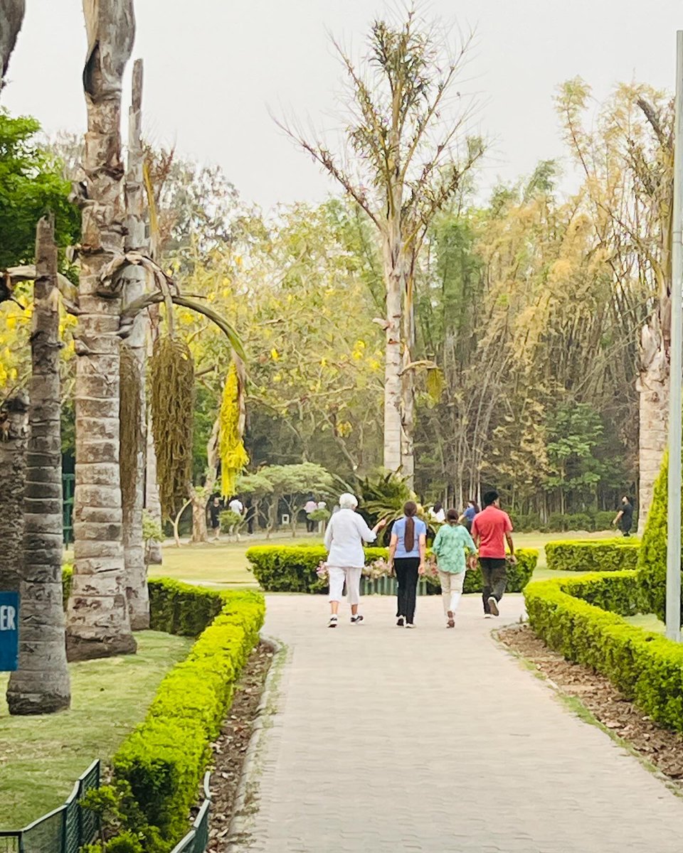 Garden of Fragrance, Sector 36 Chandigarh 🍁

Credit: Shades of Chandigarh 😘
#garden #fragrance #chandigarh💓 #chandigarh #chandigarhtourism #explore #followforfollowback #citybeautiful #fypage #sector36 #punjabwaley #awesomechandigarh
