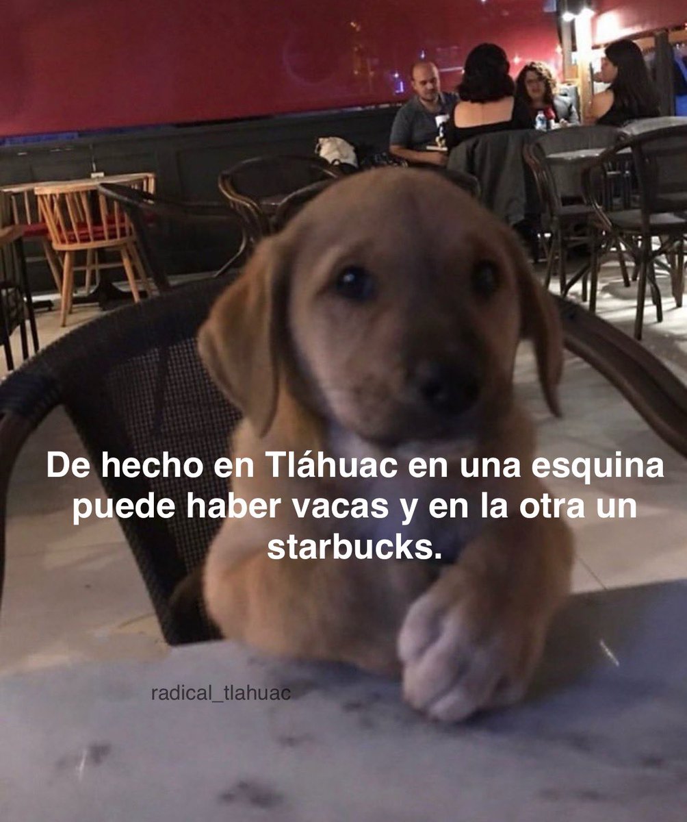 Yo sin saber que decirle en la primera cita.