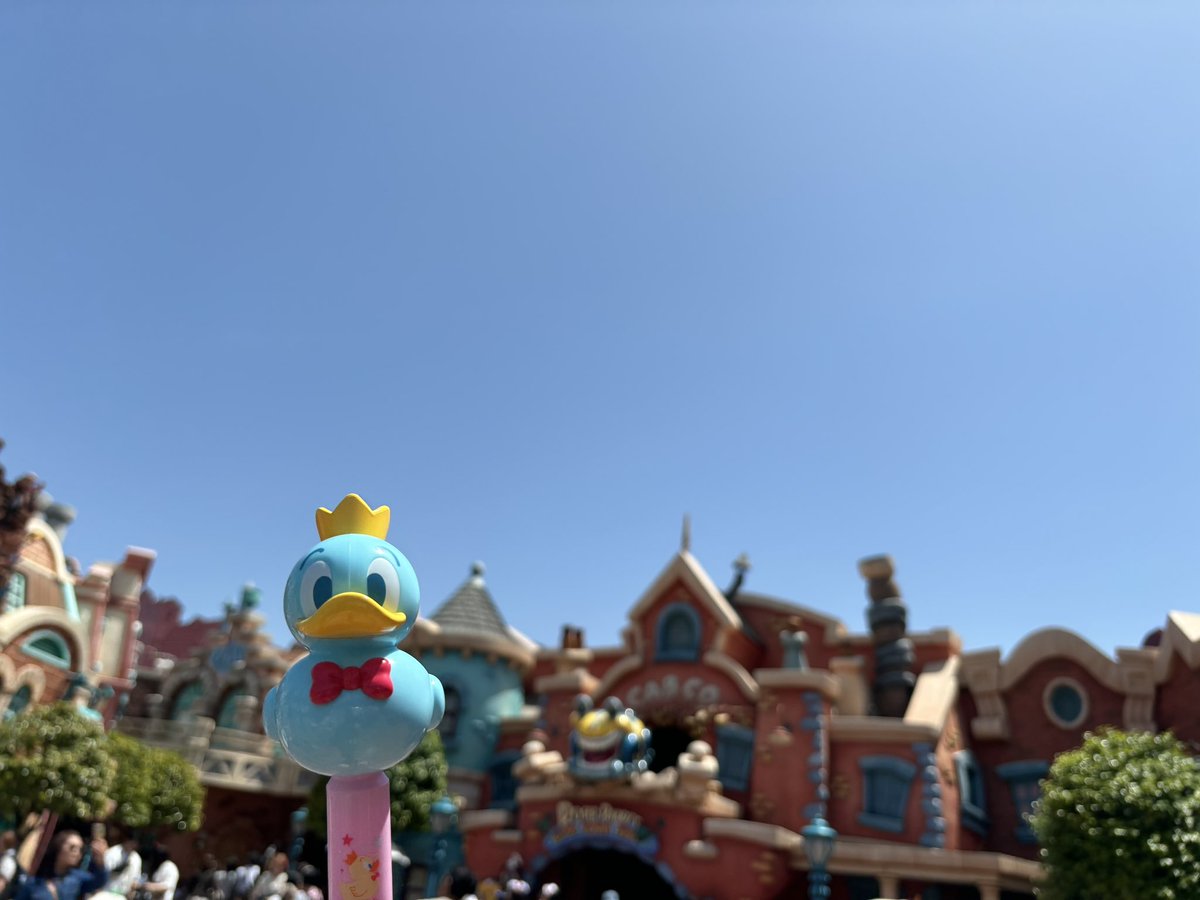 oyuyu_hk's tweet image. 昨日行ってきました！🥹
前職の同期と久々にインできて楽しかったぁ〜！個人的にドナのスティックがあの時の動画を思い出してふぁ〜〜〜って嬉しくなっちゃって振りまくって鳴かせました！！！