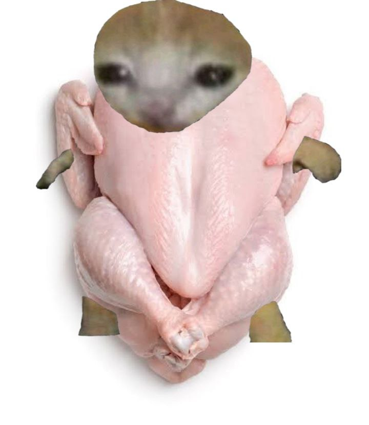 sen_zenXVI's tweet photo. @The__Solstice Like a $mini duck https://t.co/VNXkWZ9Me5