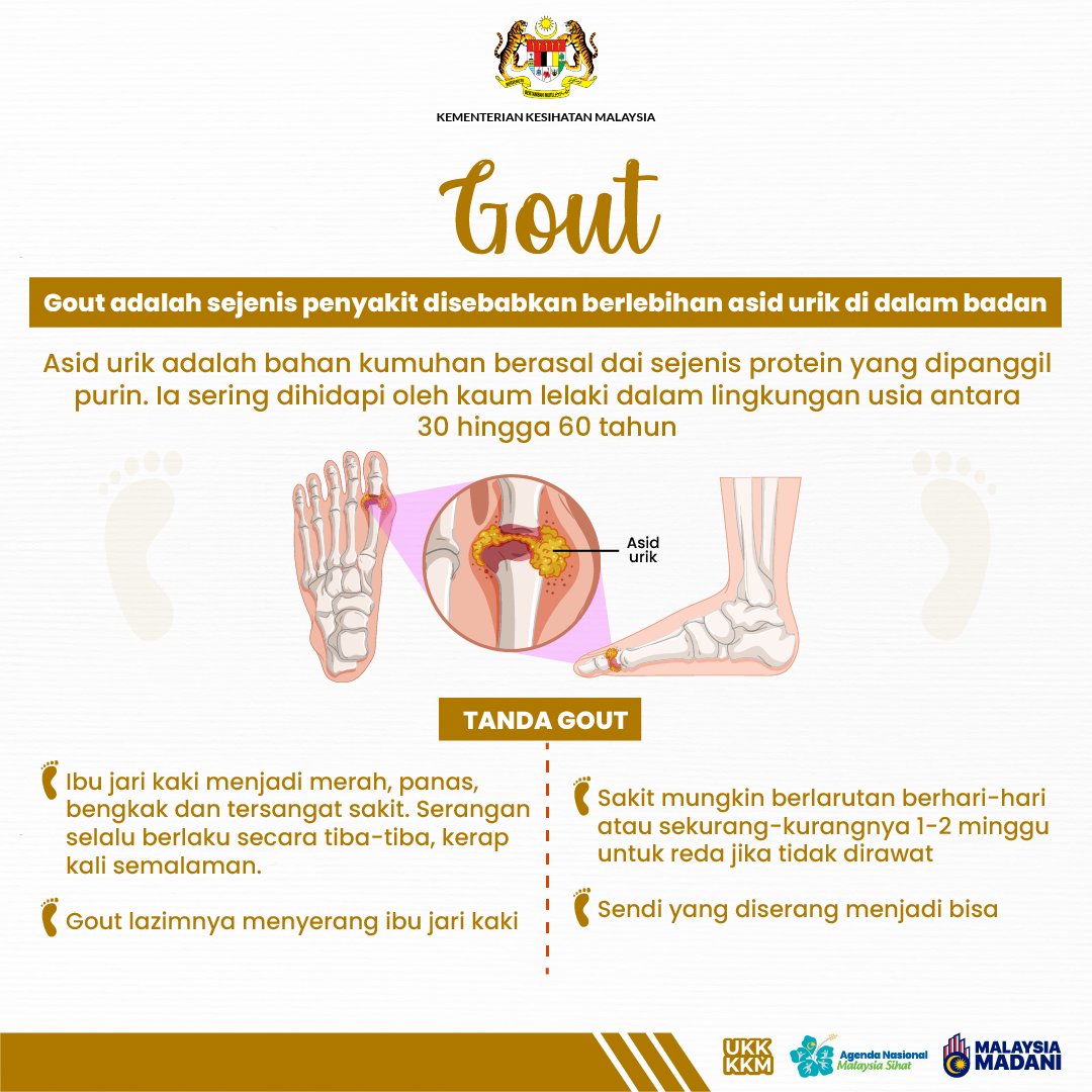 Gout berpunca daripada paras asid urik yang tinggi dalam tubuh. Asid urik merupakan bahan kumuh yang terbentuk daripada sejenis protein yang dikenali sebagai purin.

Dalam keadaan normal, tubuh akan menyingkirkan asid urik melalui air kencing. Bagi pesakit gout, asid urik yang